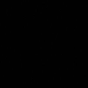 Meet your Posher, Isaiah